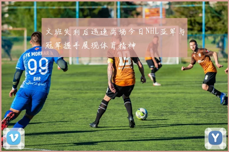 文班失利后迅速离场今日NHL亚军与冠军握手展现体育精神