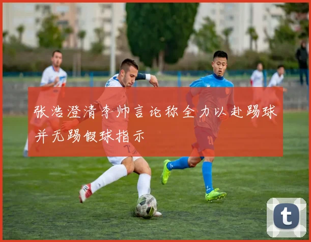 张浩澄清李帅言论称全力以赴踢球并无踢假球指示